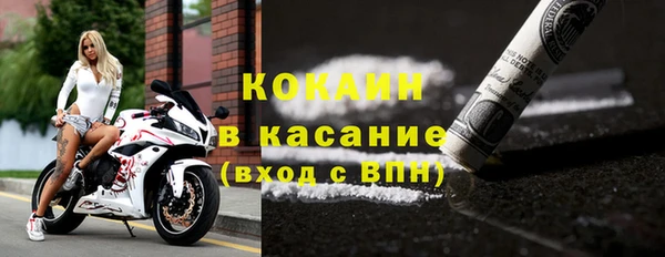 сатива Абинск