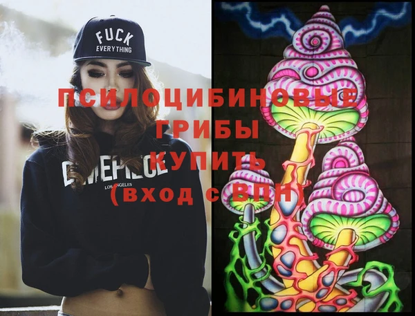 прущие грибы Магадан