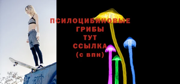 сатива Абинск