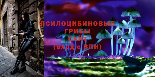 крисы Абдулино