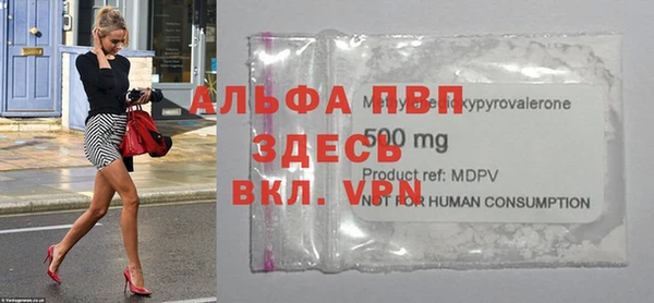 сатива Абинск