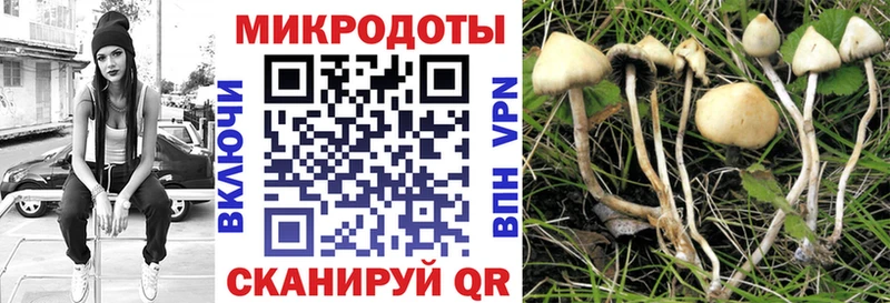 Галлюциногенные грибы прущие грибы  цены наркотик  Мосальск 
